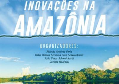 Atenção básica e formação profissional em saúde: inovações na Amazônia